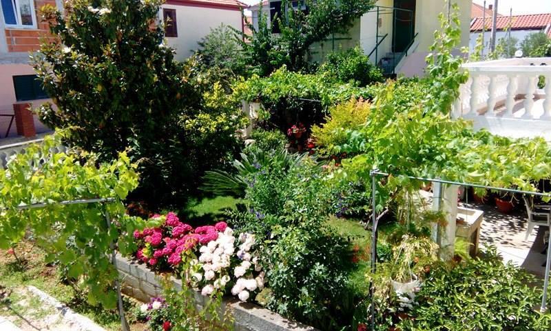 Apartment Matovina Zadar Exterior photo